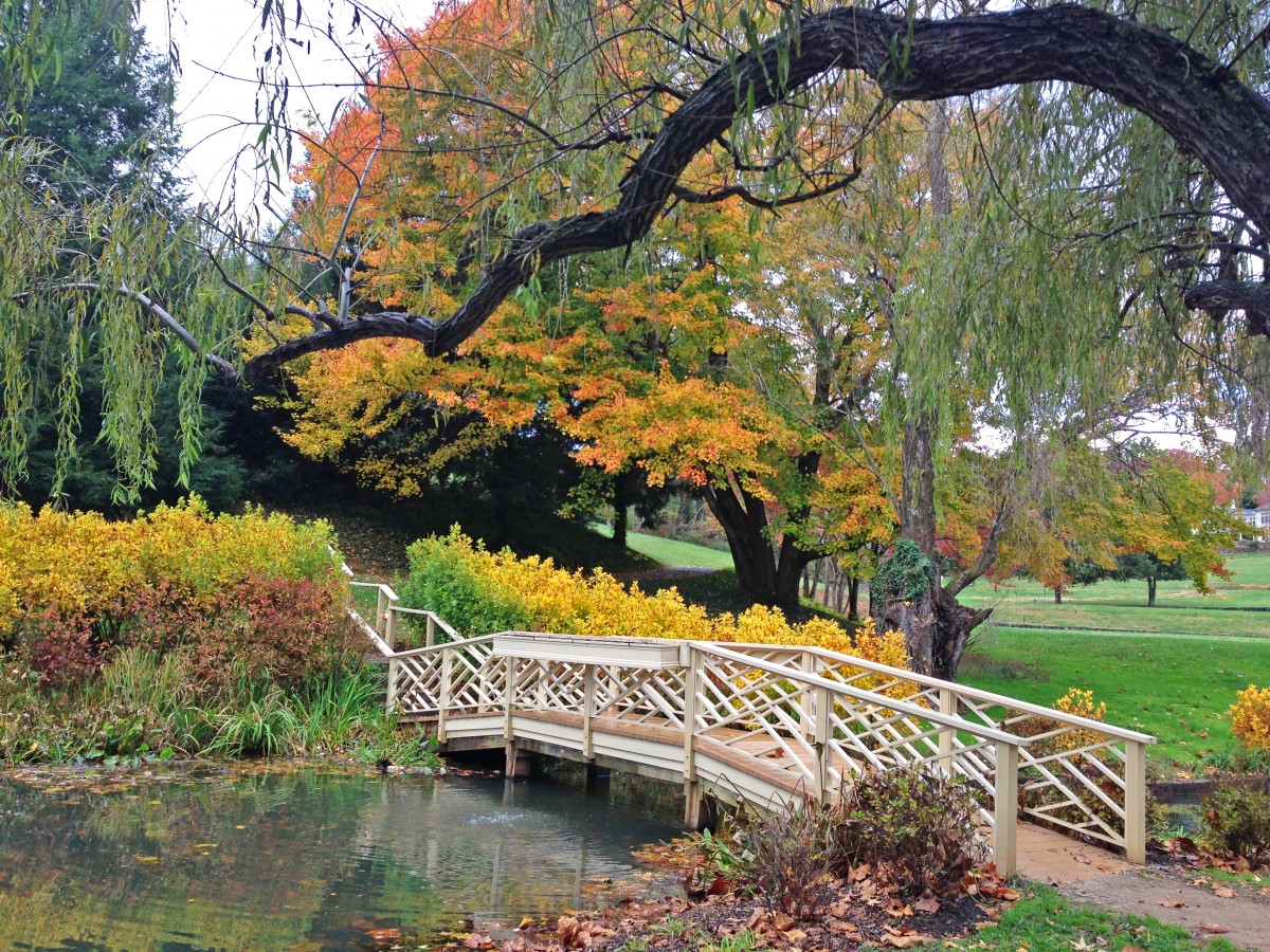 Bridge over a pond in the fall